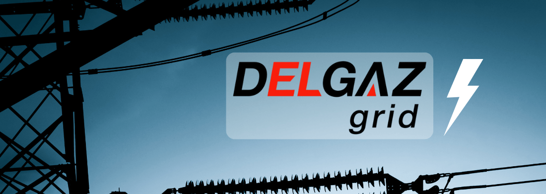 Logo DelGaz Grid 