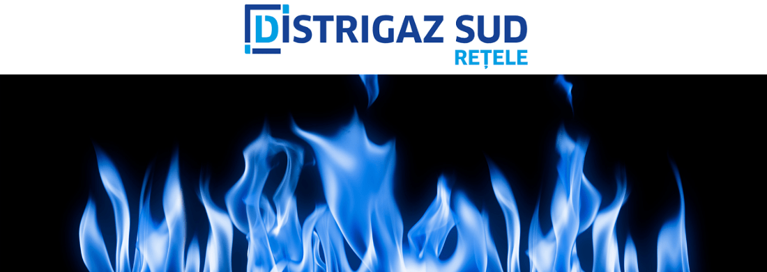 logo Distrigaz Sud Rețele si flăcări de gaz