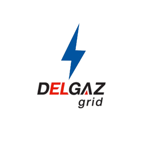 Delgaz Grid