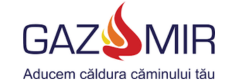 Logo Gazimir Iași