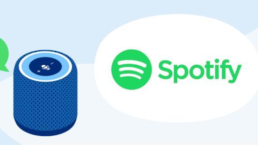 Imagine cu logo spotify